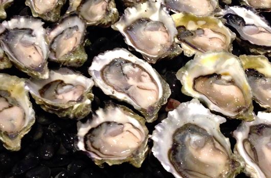 Food recall warning: Oysters harvested from British Columbia (BC) coastal waters