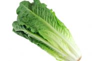 Information on Romaine Lettuce – Suggested Signage