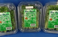 Updated Food Recall Warning    GPM brand Pea Shoots recalled due to Listeria monocytogenes