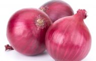 Red onions imported from the USA by Sysco in Western Canada recalled due to Salmonella