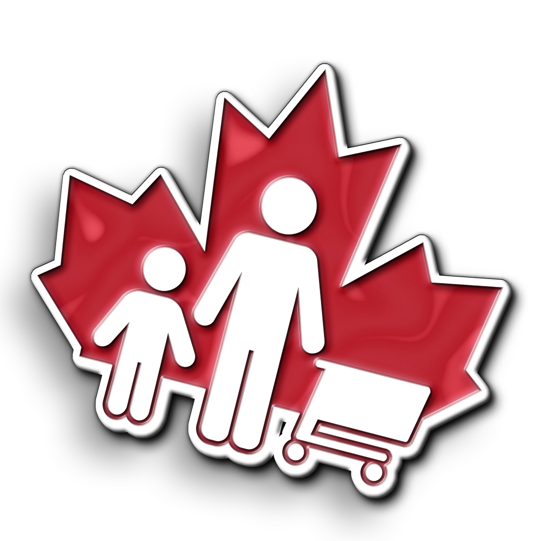 CFIG Pin